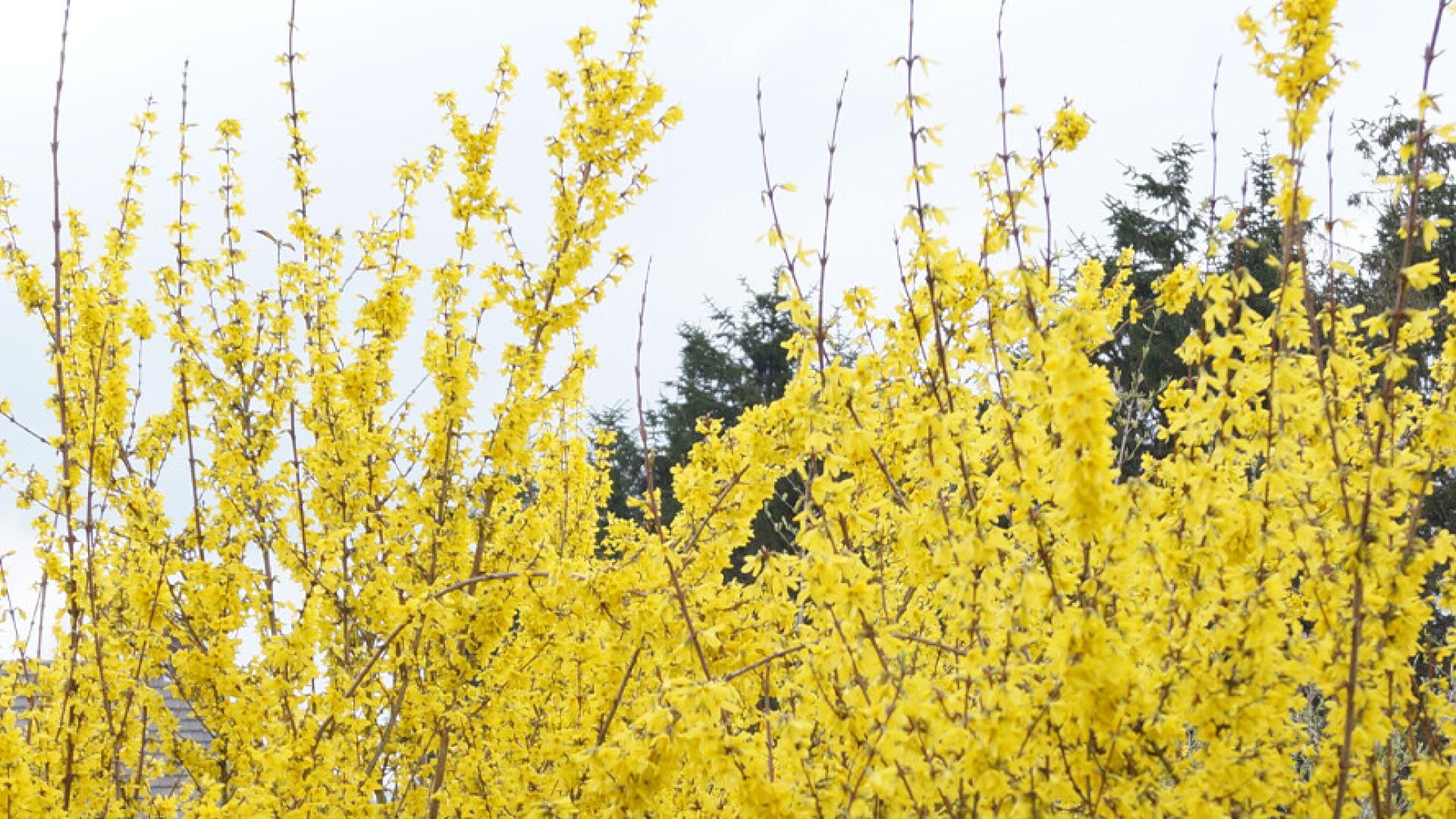 ERP ontwikkeling in Laravel