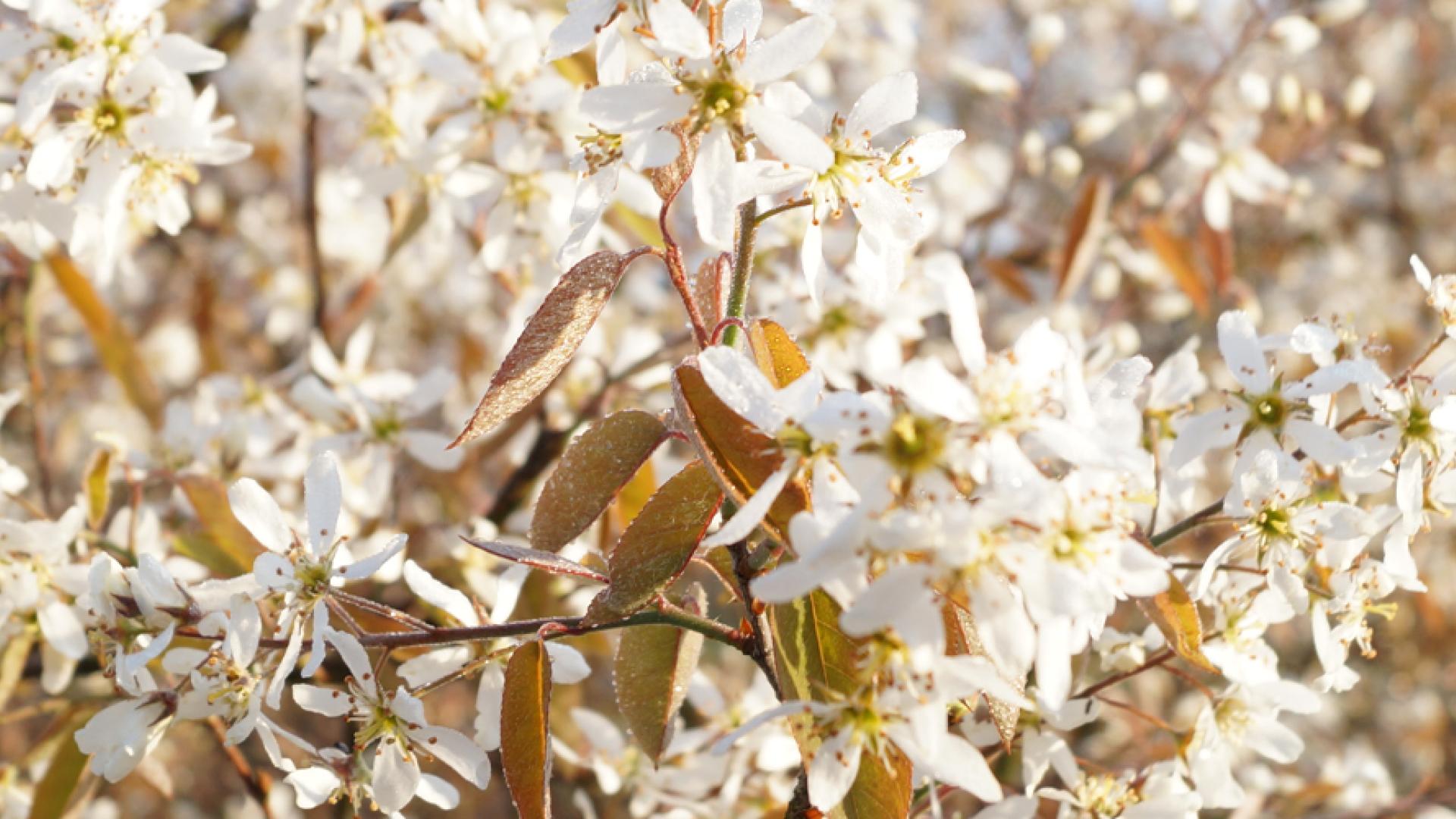 PowerBI implementatie op ERP