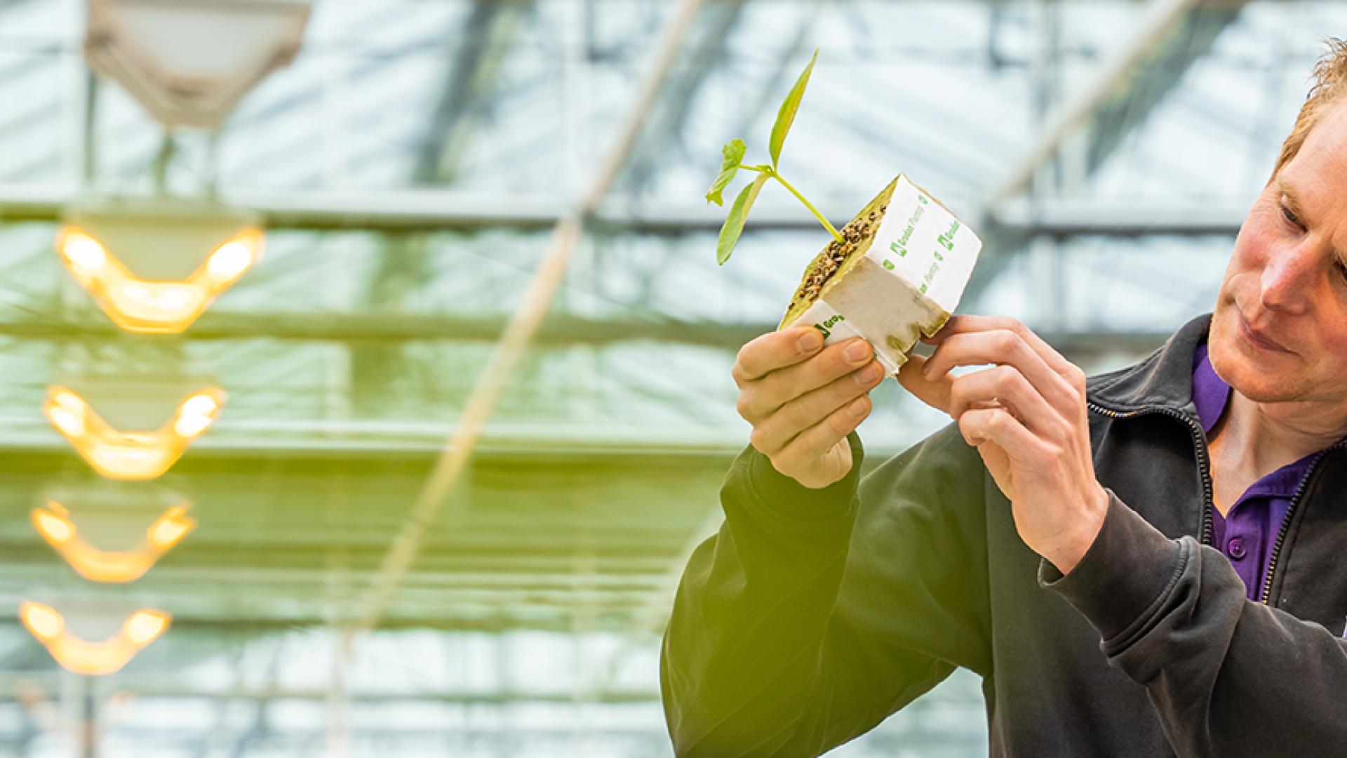 Naamsbekendheid voor het (employer) brand Botany vergroten